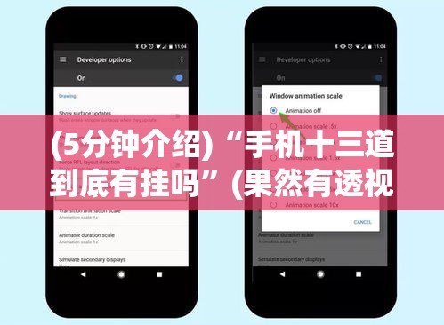 (5分钟介绍)“手机十三道到底有挂吗”(果然有透视挂)