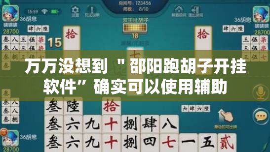 万万没想到 ＂邵阳跑胡子开挂软件”确实可以使用辅助