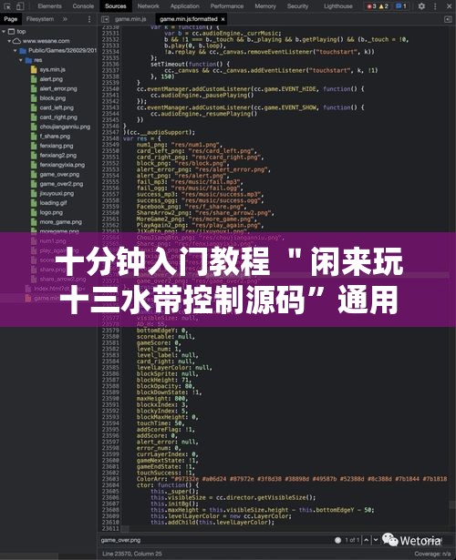 十分钟入门教程 ＂闲来玩十三水带控制源码”通用版下载教程