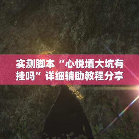 实测脚本“心悦填大坑有挂吗”详细辅助教程分享