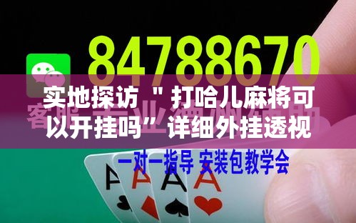 实地探访 ＂打哈儿麻将可以开挂吗”详细外挂透视辅助软件教程