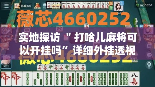 实地探访 ＂打哈儿麻将可以开挂吗”详细外挂透视辅助软件教程