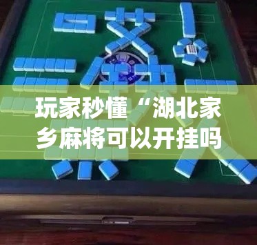 玩家秒懂“湖北家乡麻将可以开挂吗”(助赢详细开挂教程)