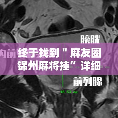 终于找到＂麻友圈锦州麻将挂”详细开挂安装教程