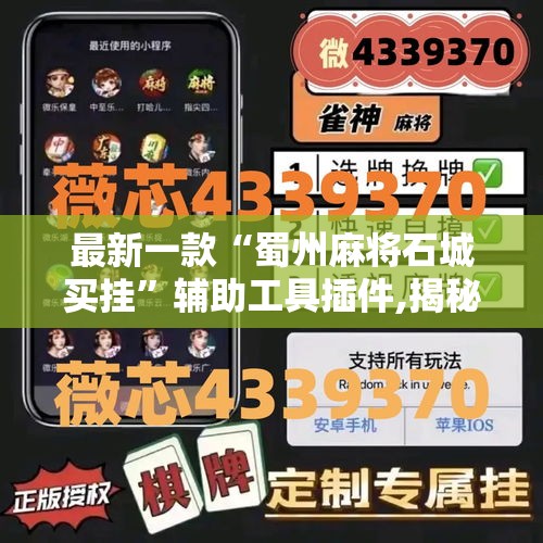 最新一款“蜀州麻将石城买挂	”辅助工具插件,揭秘技巧开挂