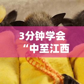 3分钟学会“中至江西麻将开挂神器最新辅助详细教程