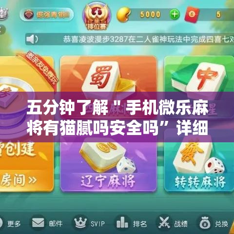 五分钟了解＂手机微乐麻将有猫腻吗安全吗”详细外挂透视辅助软件教程