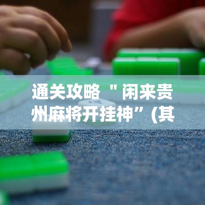 通关攻略 ＂闲来贵州麻将开挂神”(其实是有挂)