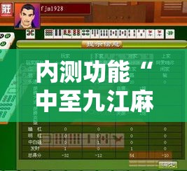 内测功能“中至九江麻将输赢机制”-详细教程