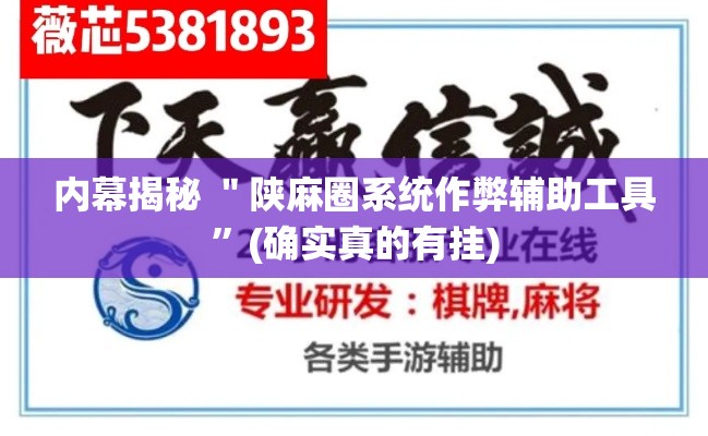 内幕揭秘 ＂陕麻圈系统作弊辅助工具”(确实真的有挂)