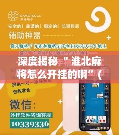 深度揭秘 ＂淮北麻将怎么开挂的啊”(原来确实是有插件)
