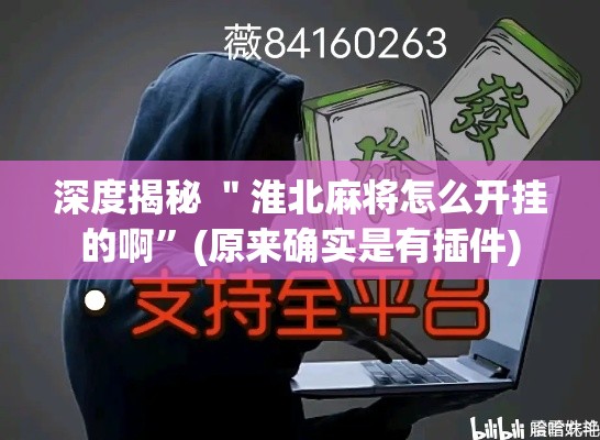 深度揭秘 ＂淮北麻将怎么开挂的啊”(原来确实是有插件)