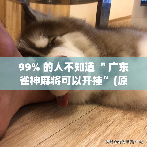 99% 的人不知道 ＂广东雀神麻将可以开挂”(原来确实是有插件)