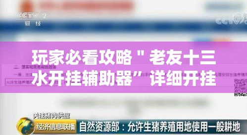 玩家必看攻略＂老友十三水开挂辅助器”详细开挂教程