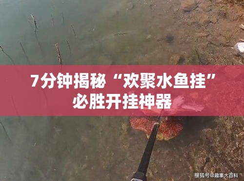 7分钟揭秘“欢聚水鱼挂”必胜开挂神器