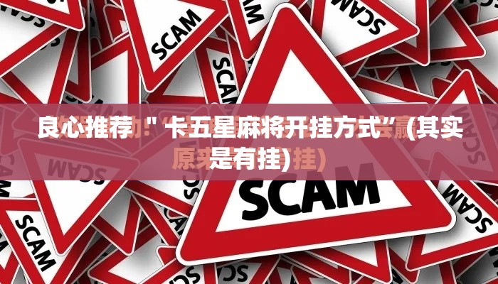 良心推荐 ＂卡五星麻将开挂方式”(其实是有挂)