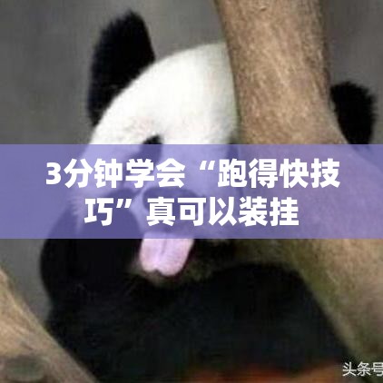 3分钟学会“跑得快技巧	”真可以装挂