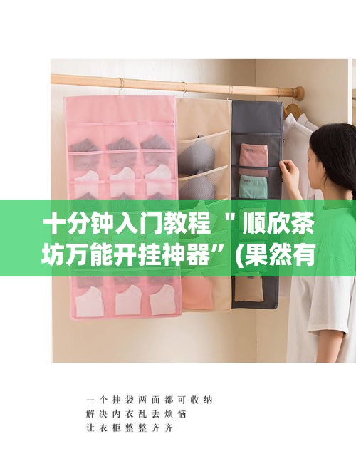 十分钟入门教程 ＂顺欣茶坊万能开挂神器	”(果然有透视挂)