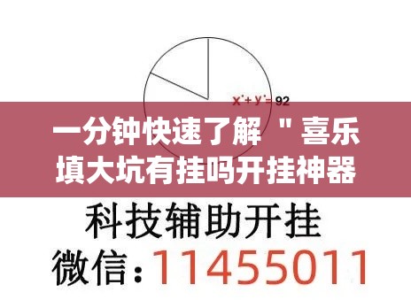 一分钟快速了解 ＂喜乐填大坑有挂吗开挂神器”(透视)辅助透视教程