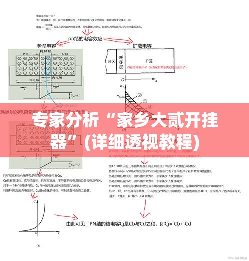 专家分析“家乡大贰开挂器”(详细透视教程)
