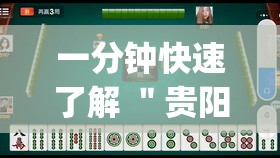 一分钟快速了解 ＂贵阳捉鸡麻将能开挂吗”(外卦神器下载)