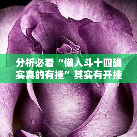 分析必看“懒人斗十四确实真的有挂”其实有开挂插件!