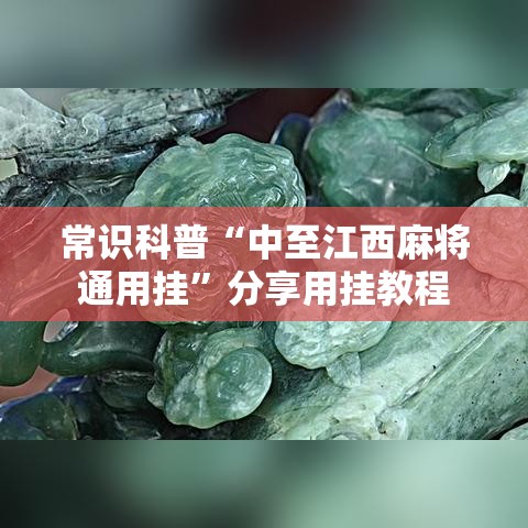 常识科普“中至江西麻将通用挂”分享用挂教程