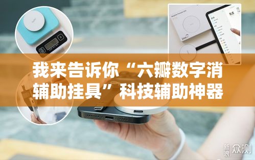 我来告诉你“六瓣数字消辅助挂具”科技辅助神器手机