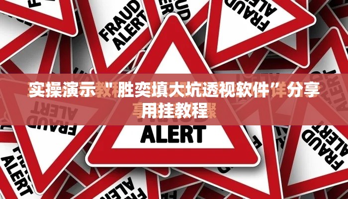实操演示 ＂胜奕填大坑透视软件”分享用挂教程