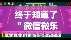 终于知道了 ＂微信微乐河南麻将有挂吗”(透视挂)最新辅助详细教程
