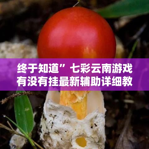 终于知道	”七彩云南游戏有没有挂最新辅助详细教程