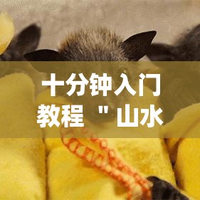 十分钟入门教程 ＂山水云南麻将开挂神器下载(透视)”详细分享装挂步骤教程