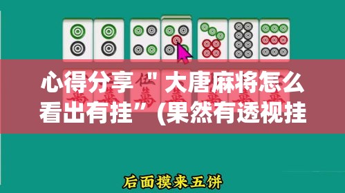 心得分享 ＂大唐麻将怎么看出有挂	”(果然有透视挂)