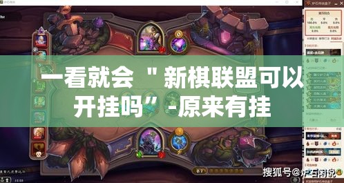 一看就会 ＂新棋联盟可以开挂吗”-原来有挂