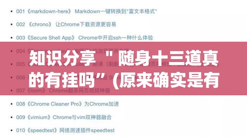 知识分享 ＂随身十三道真的有挂吗	”(原来确实是有插件)