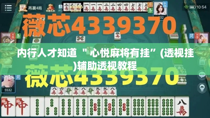 内行人才知道 ＂心悦麻将有挂”(透视挂)辅助透视教程