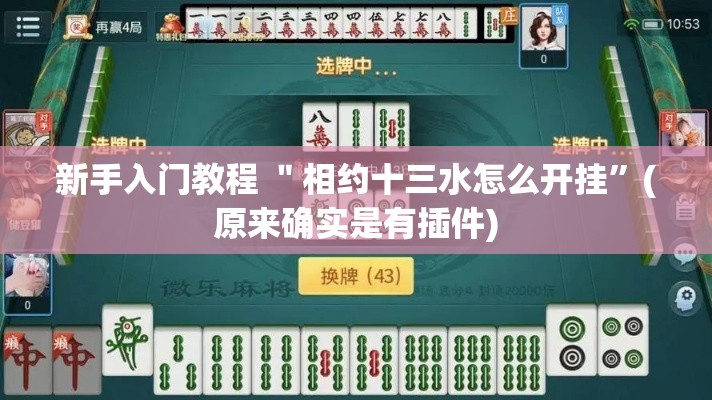 新手入门教程 ＂相约十三水怎么开挂	”(原来确实是有插件)