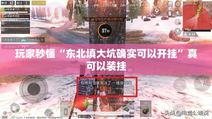 玩家秒懂“东北填大坑确实可以开挂”真可以装挂