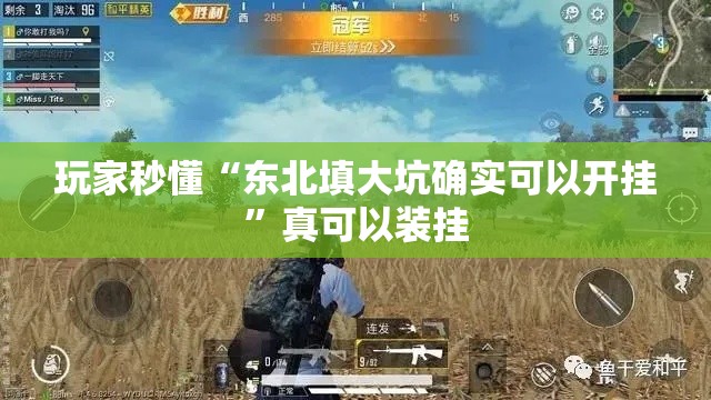 玩家秒懂“东北填大坑确实可以开挂”真可以装挂