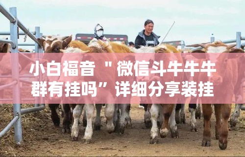 小白福音 ＂微信斗牛牛牛群有挂吗”详细分享装挂步骤教程