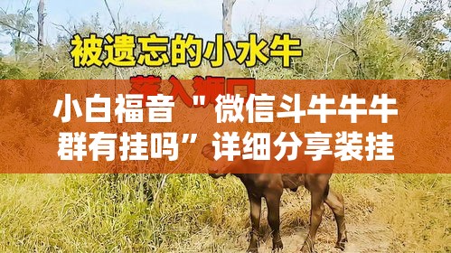 小白福音 ＂微信斗牛牛牛群有挂吗	”详细分享装挂步骤教程
