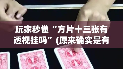 玩家秒懂“方片十三张有透视挂吗”(原来确实是有挂)
