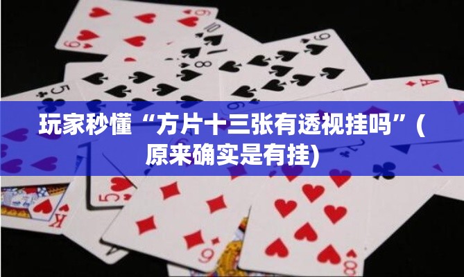玩家秒懂“方片十三张有透视挂吗”(原来确实是有挂)