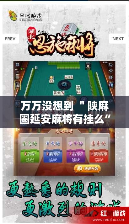 万万没想到 ＂陕麻圈延安麻将有挂么	”开挂安装教程