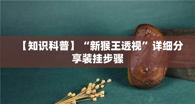 【知识科普】“新猴王透视”详细分享装挂步骤
