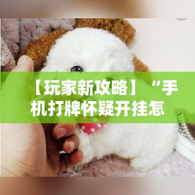 【玩家新攻略】“手机打牌怀疑开挂怎么查”详细外挂透视辅助软件教程