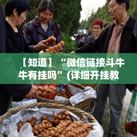 【知道】“微信链接斗牛牛有挂吗”(详细开挂教程)