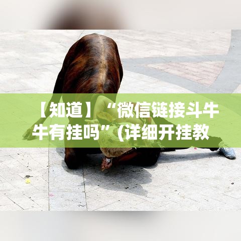 【知道】“微信链接斗牛牛有挂吗”(详细开挂教程)