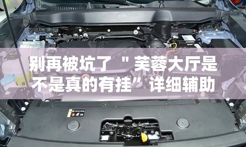 别再被坑了 ＂芙蓉大厅是不是真的有挂”详细辅助透视