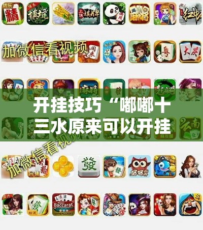 开挂技巧“嘟嘟十三水原来可以开挂”详细开挂安装教程